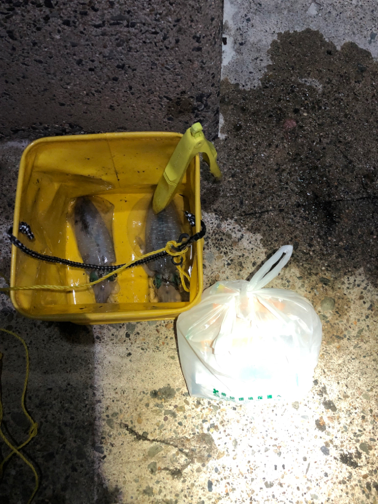 【秋イカ好調】京丹後〜伊根湾