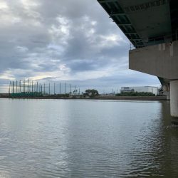 雨後の朝マヅメ釣行