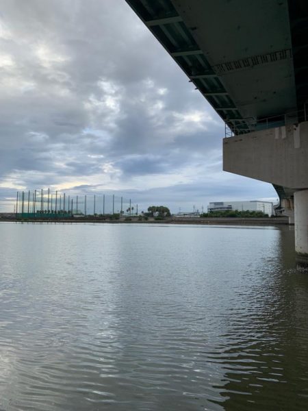 雨後の朝マヅメ釣行