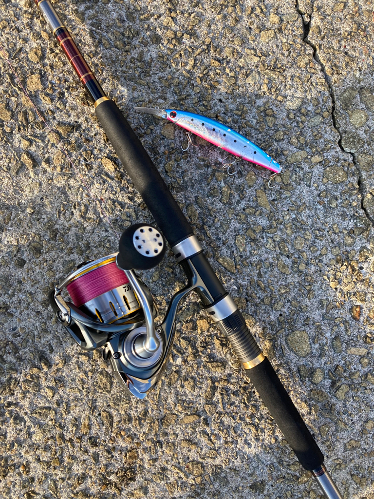 ⭐︎滑り込みセーフ