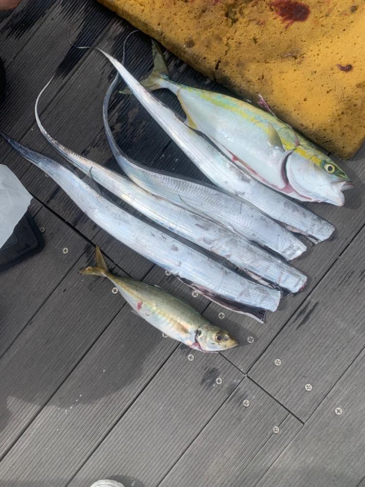 台風一過の状況…