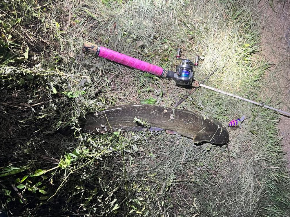 ひさびさの鯰GETだぜ！！