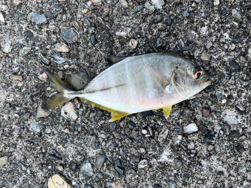 隙間時間ライトゲーム