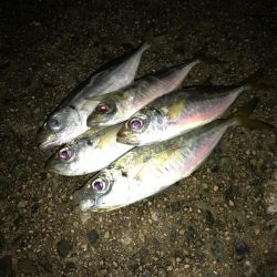 台風通過後から数日経過…