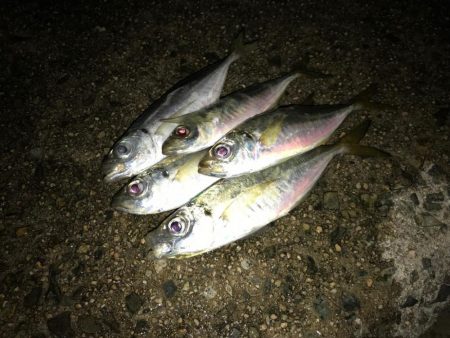 台風通過後から数日経過…