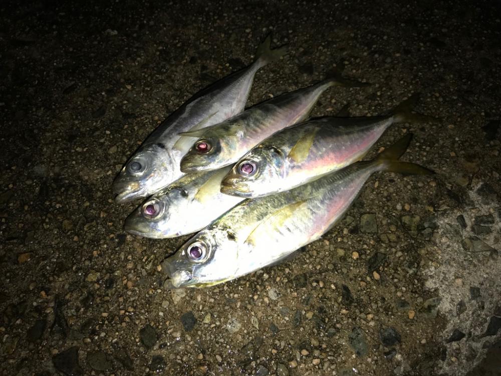 台風通過後から数日経過…