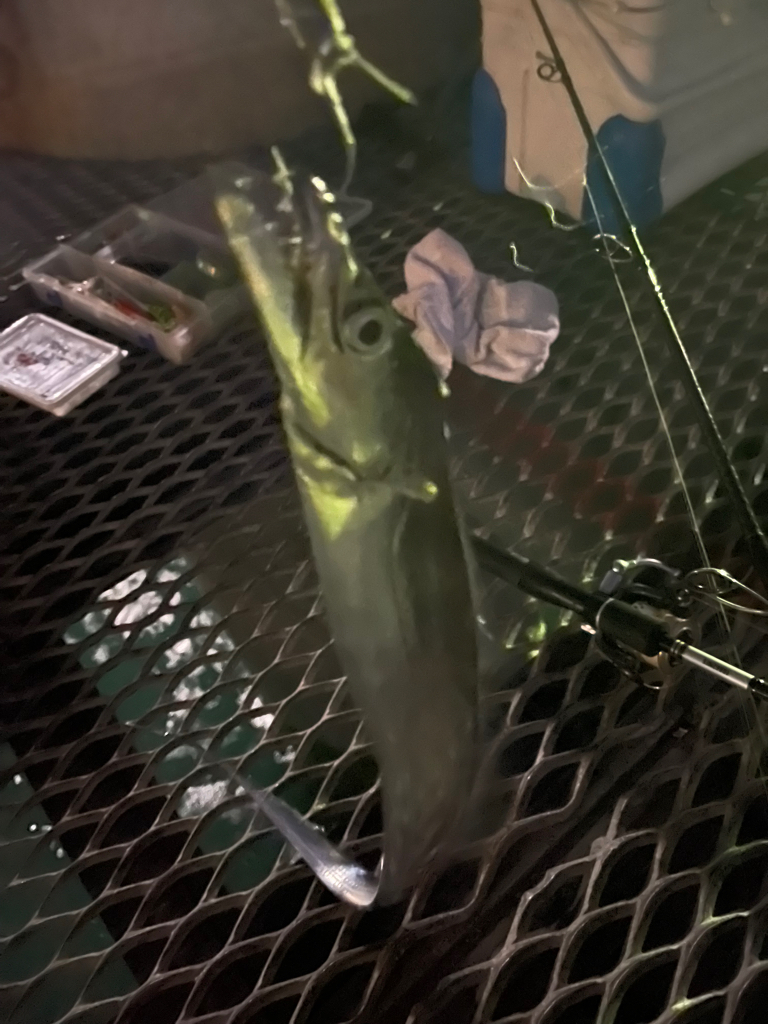 好調とっとパーク