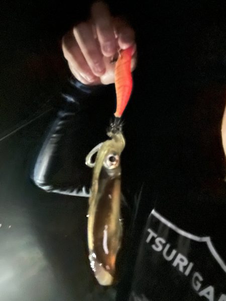 常夜灯場でのエギング！