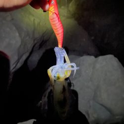 仕事終わりにのんびり！