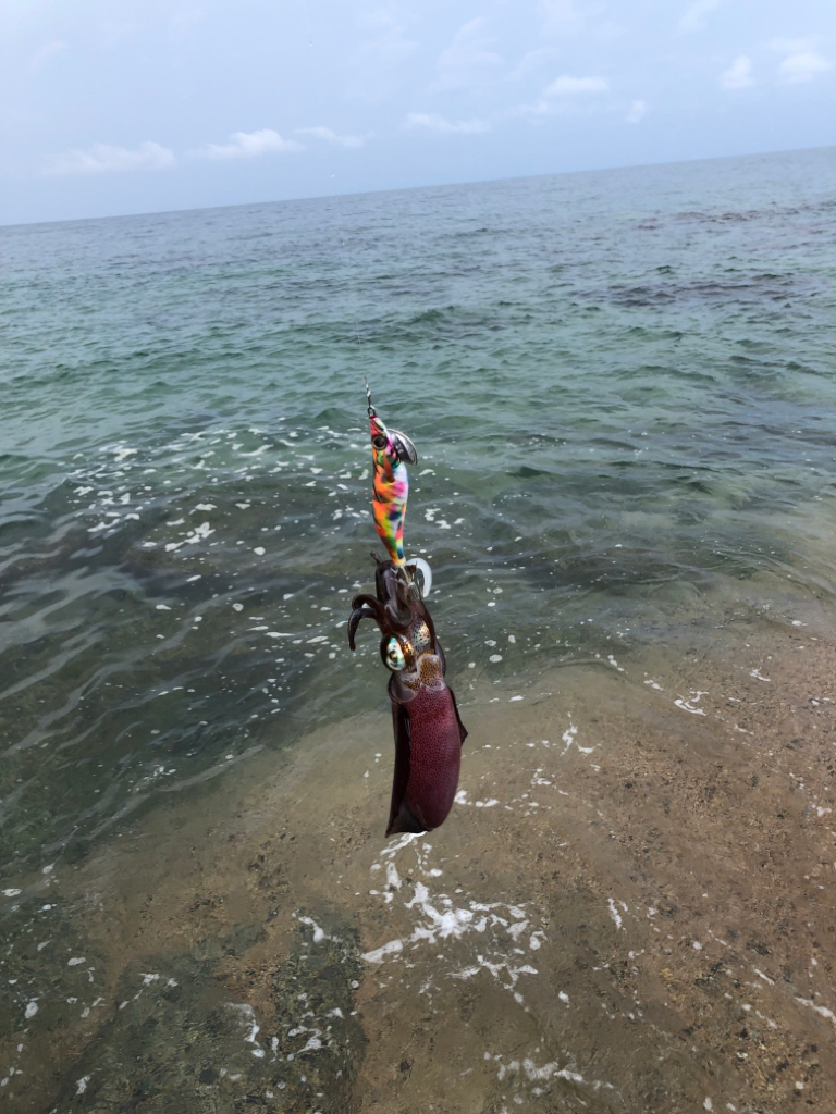 ランガン楽し♪