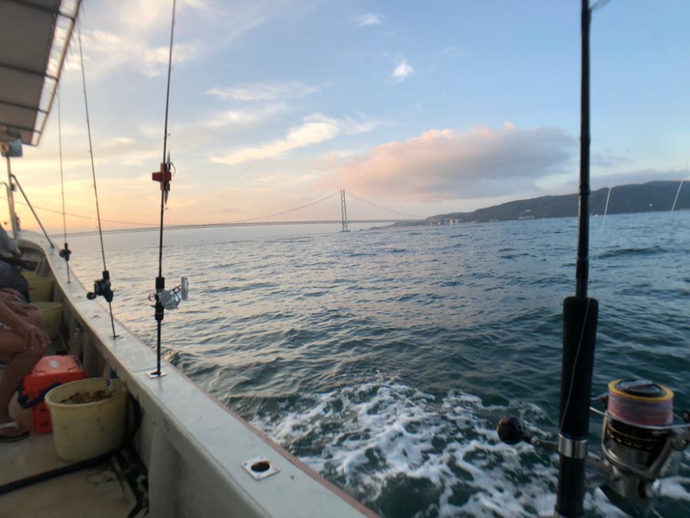 秋の青物は気まぐれでした…