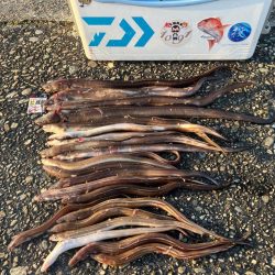 美味いもんは釣れたけど…