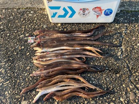 美味いもんは釣れたけど…