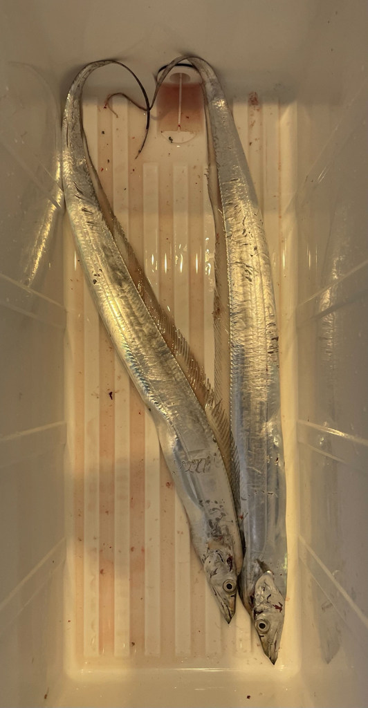 雨が止んでよかった。