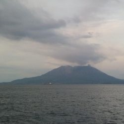 アジがダブルヒット!