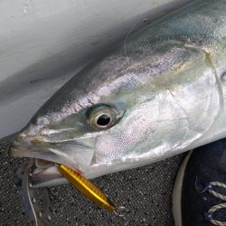 岩国沖ライトジギング！