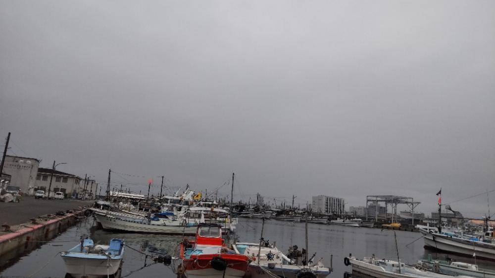 アジ探し@泉佐野