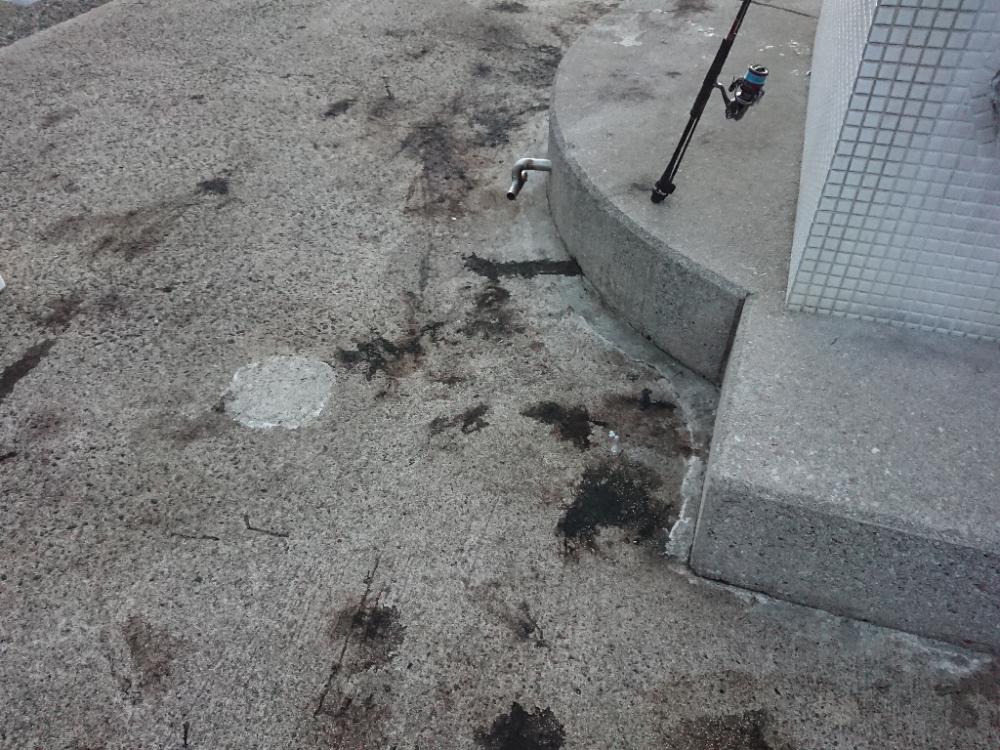 沖漬けを求めて!