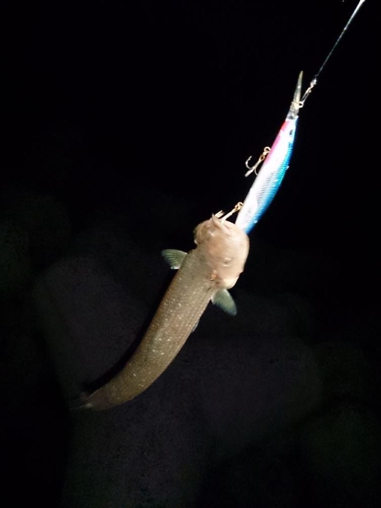 ショアジギング