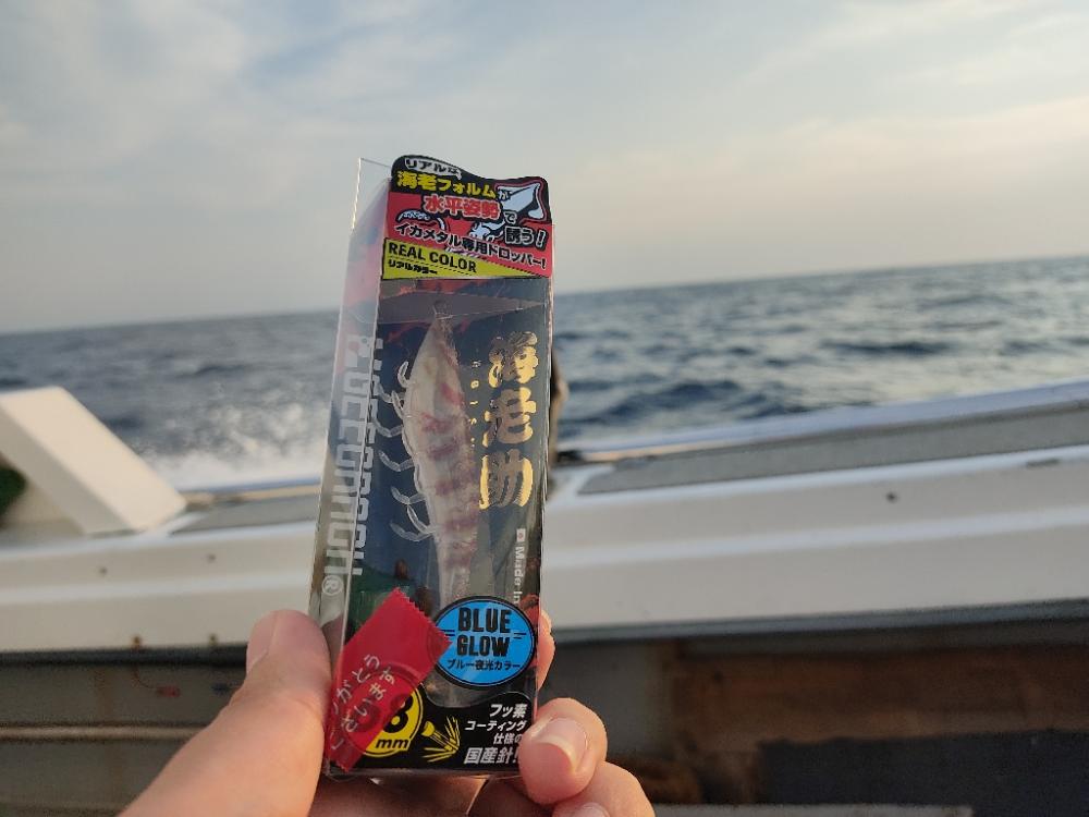 玄界灘イカメタルゲーム