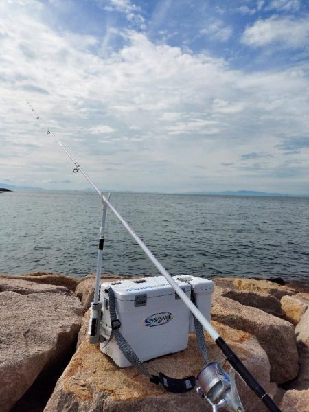 初場所にてキス釣り