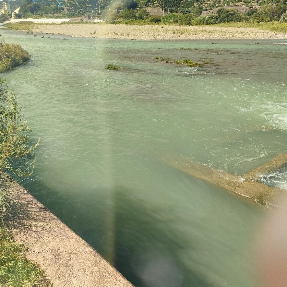 台風後の濁りで良い思い