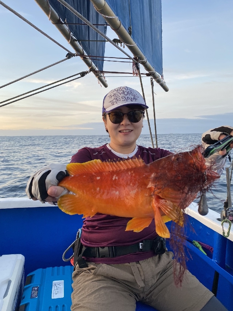 浅場の何でも狙い
