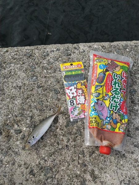 武庫川渡船さんで呑ませ釣り☆