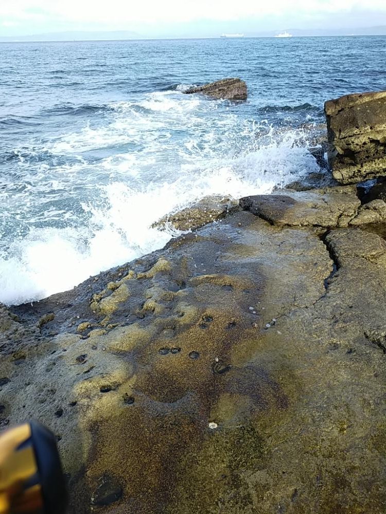 サバゲーのつもりしなゃなかった