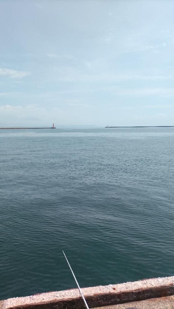 ショアジギング