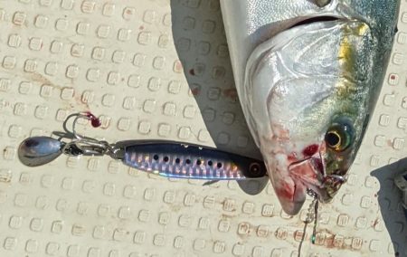 ボートキャスティング