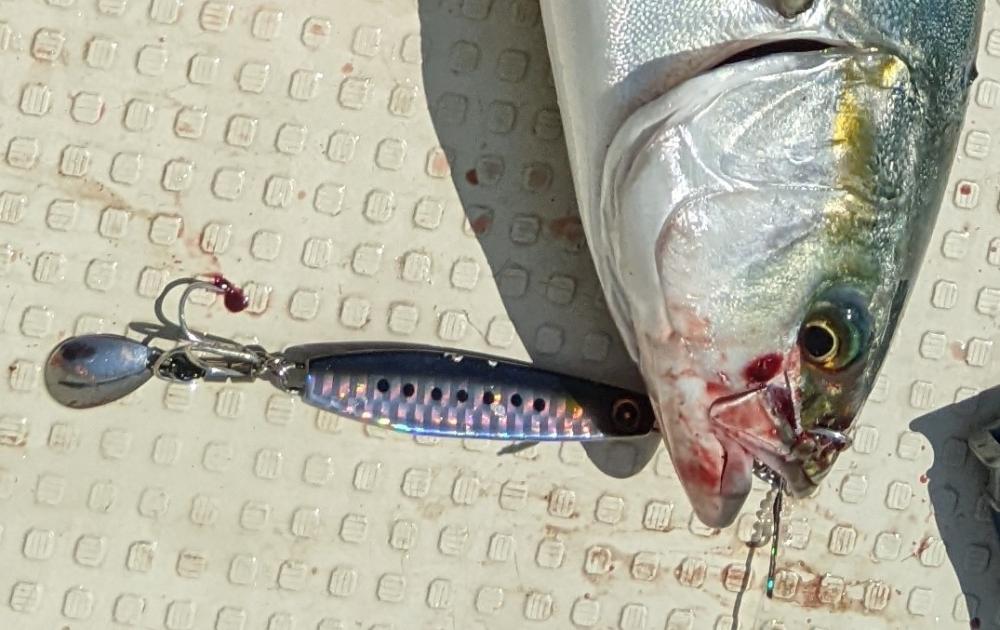 ボートキャスティング