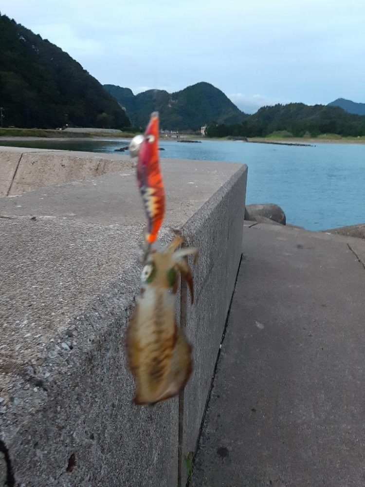 日本海へ