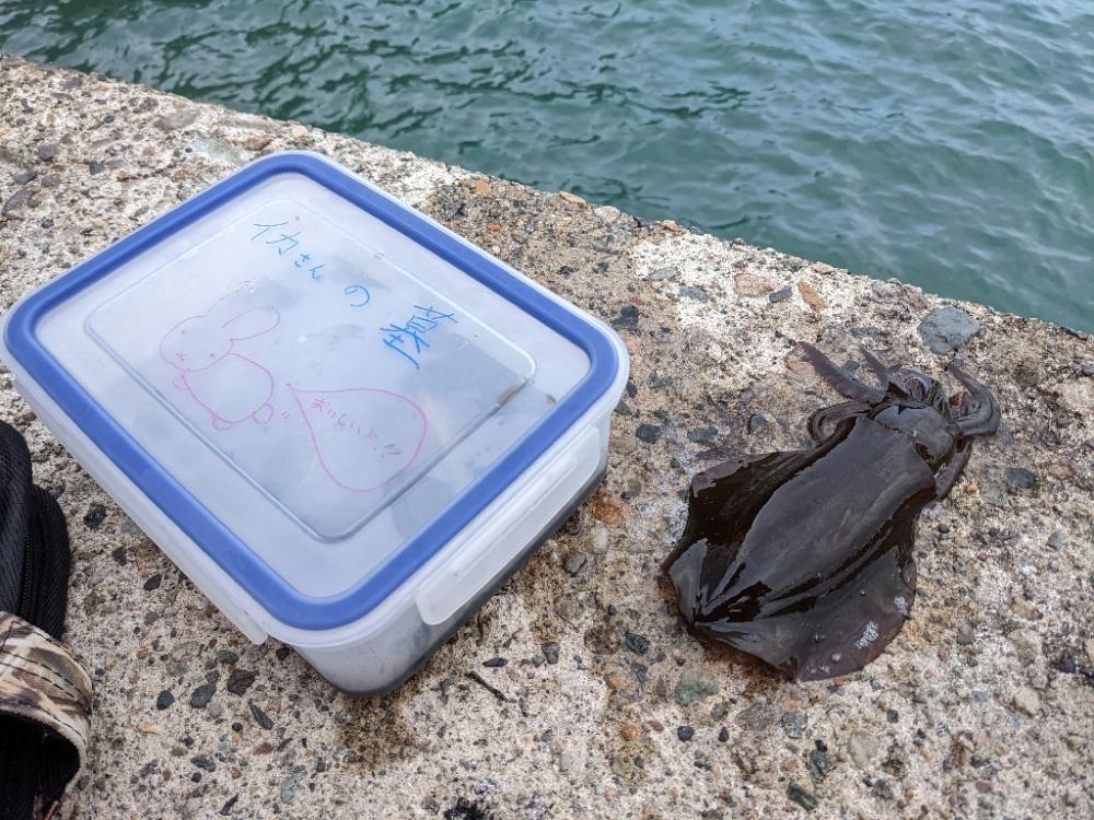 ウネリ爆風ババ濁りで9杯