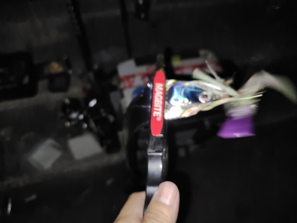 サーベリング@マリーナシティ