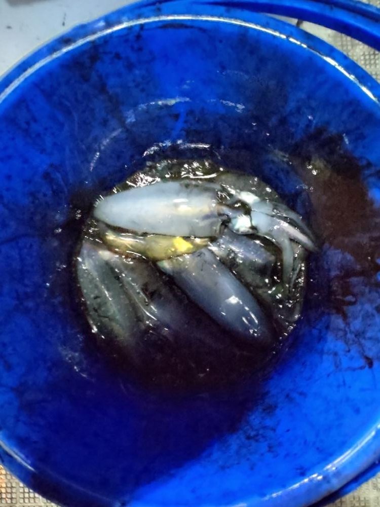 初のティップラン!