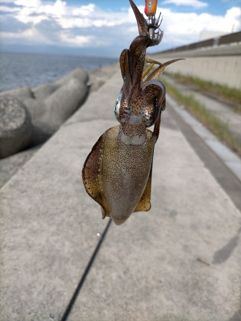 濁りが心配でしたがなんとか8杯