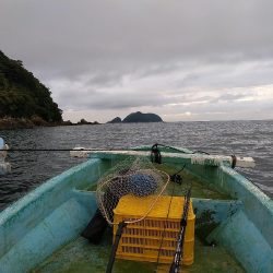 久しぶりのカセ釣り☆