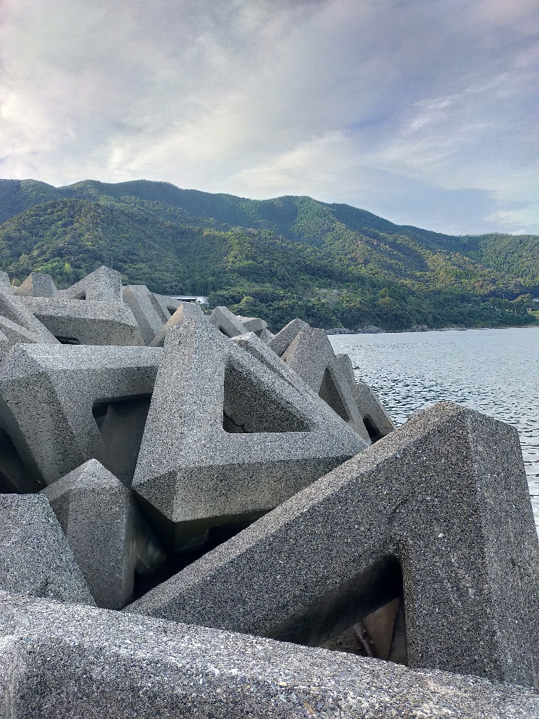 初めてコウイカが釣れました(笑)