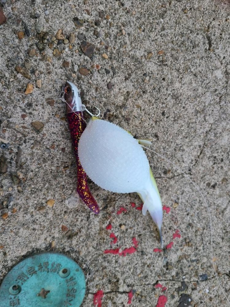 直撃前の直撃！