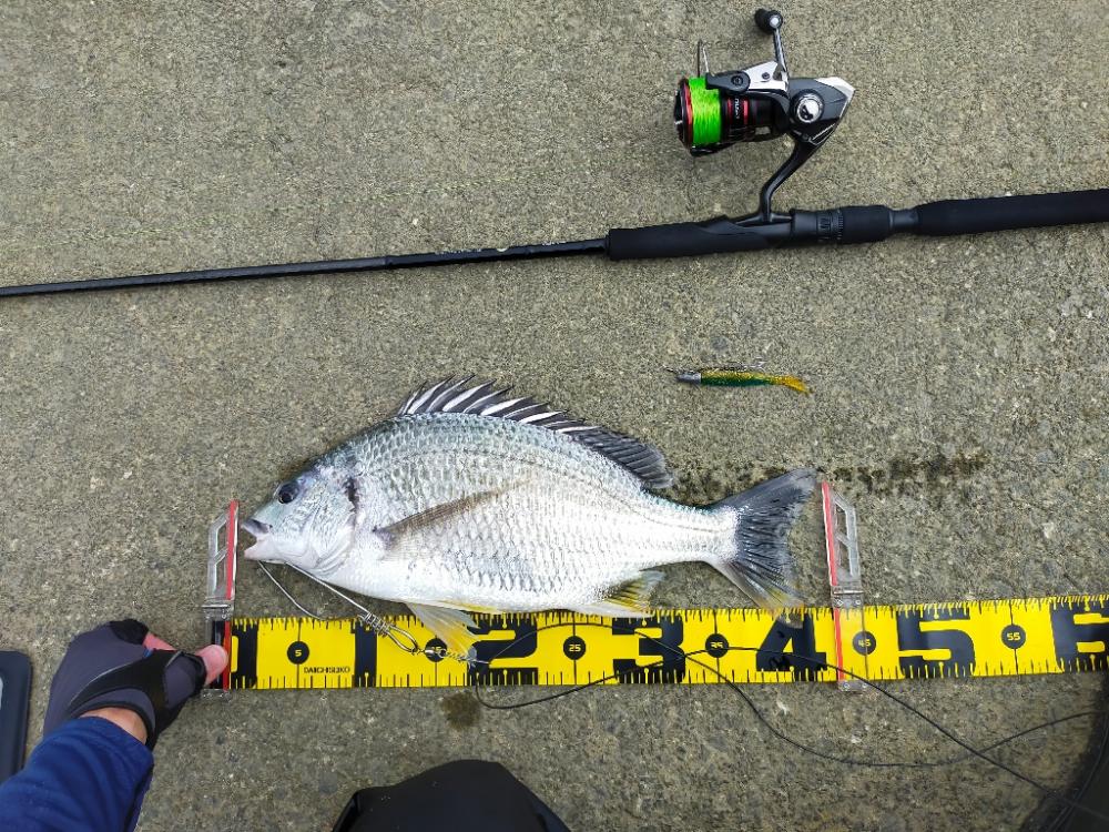 コアマンの夏デイゲーム!