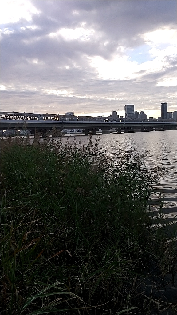 淀川ハゼ釣り大会