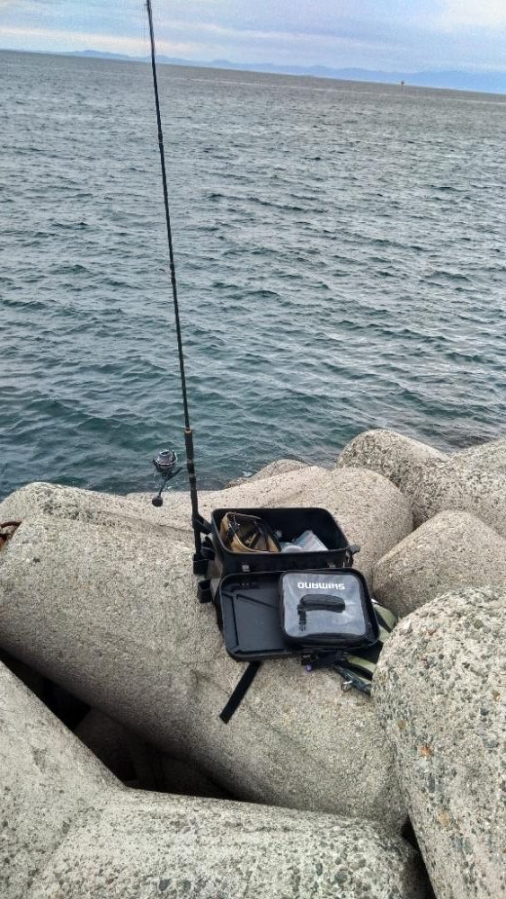 ショアジギング