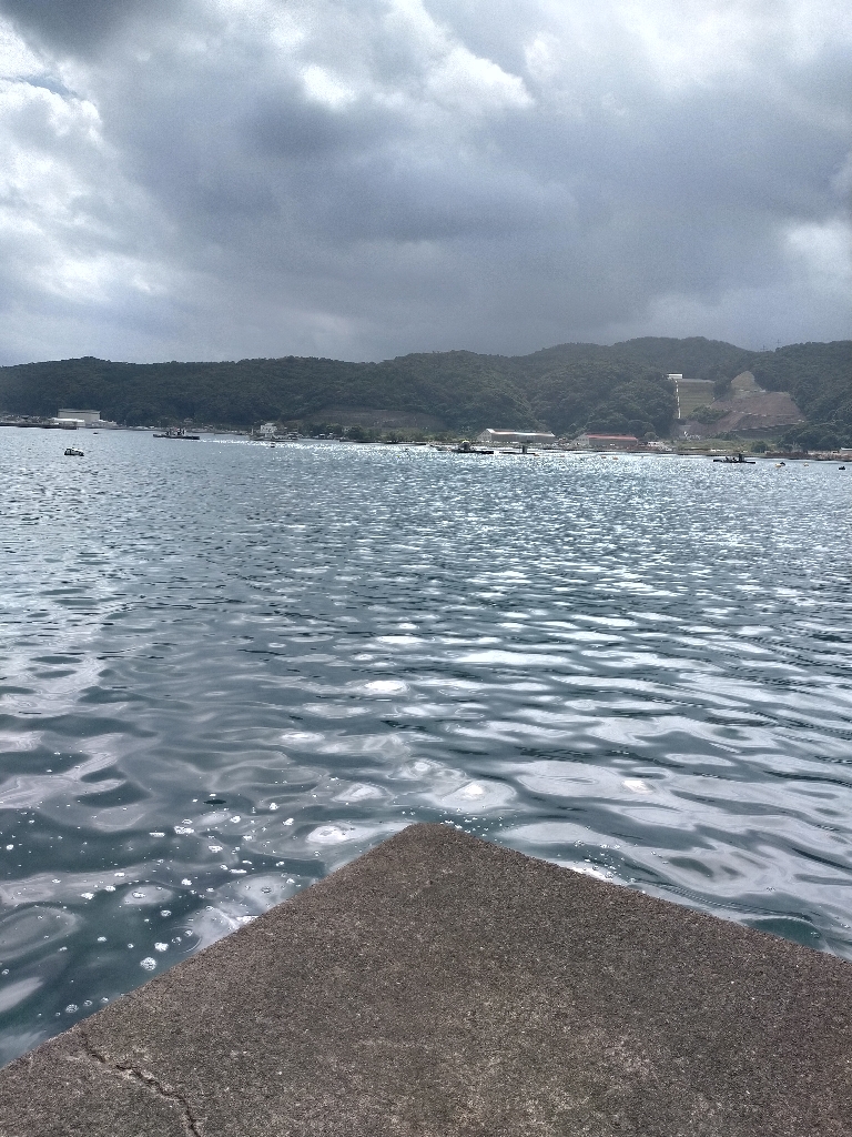 エギングでアコウ!!