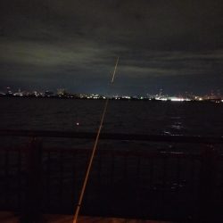 秋の朝練…君じゃないんだよなぁ