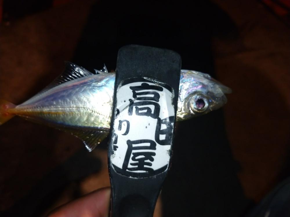 今夜はやや渋目