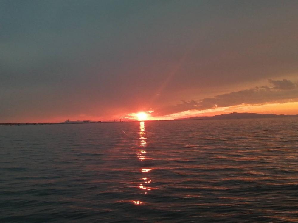 昼過ぎからブラっと。