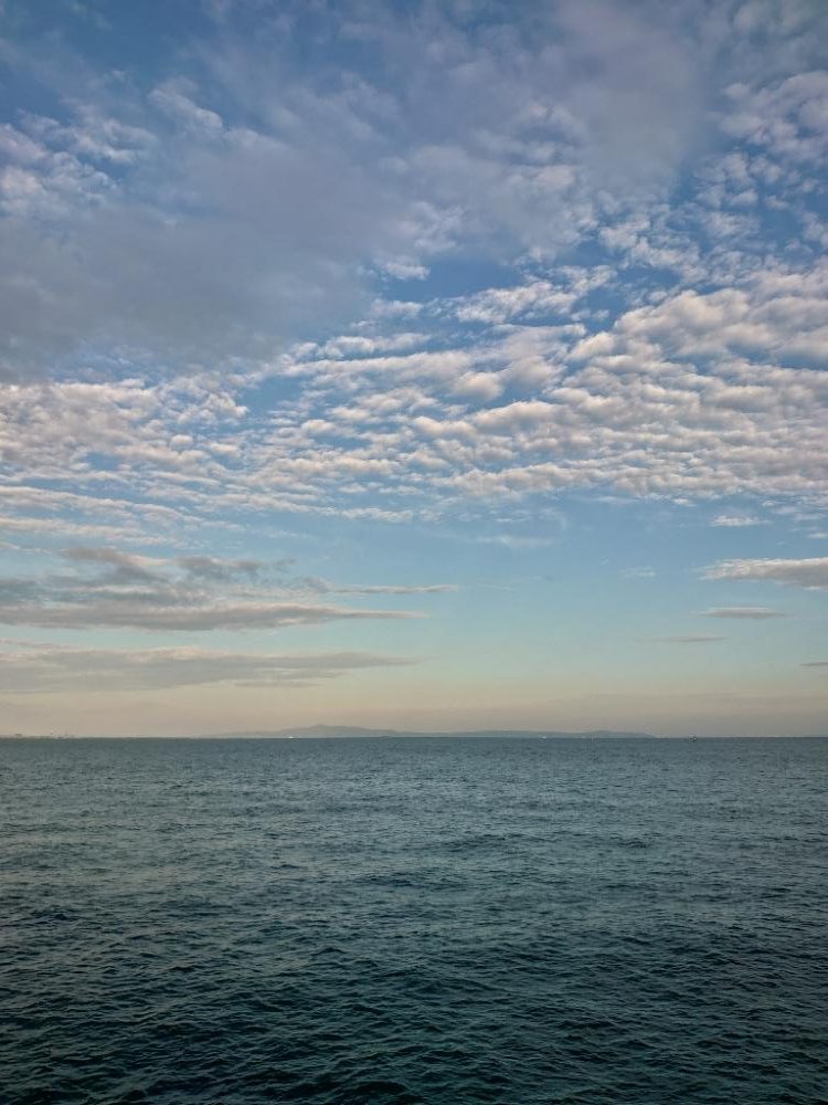 ショアジギとジグサビキす