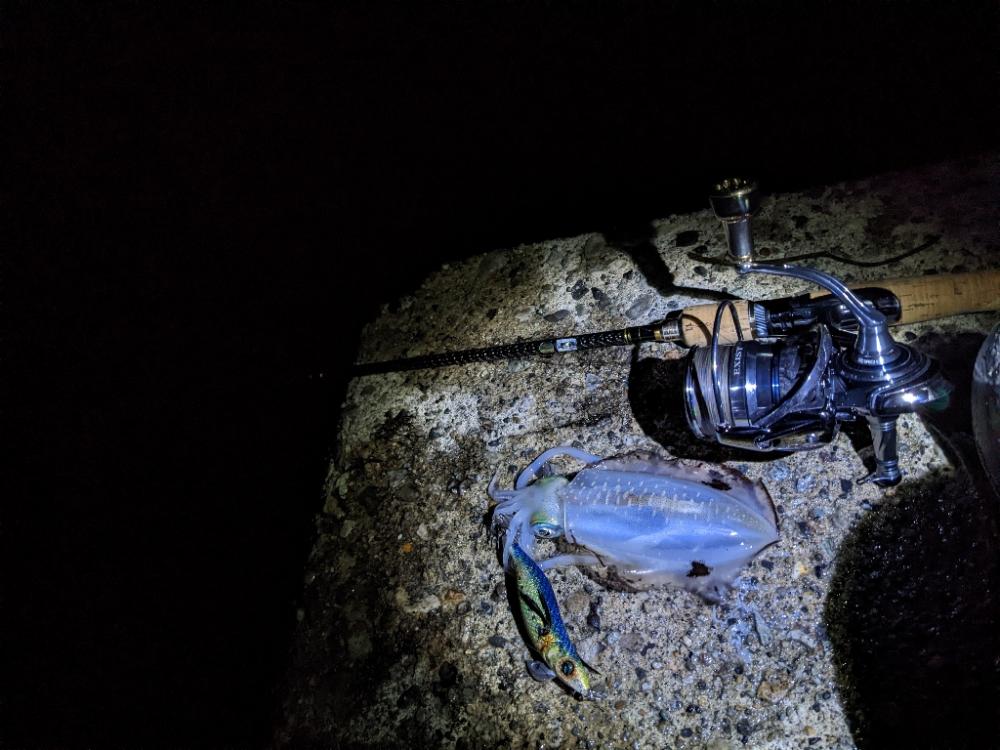 サイズ狙うと渋いけど(・×・)