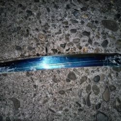 タチウオを求めて